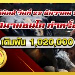 แดงงามสองแผ่นดินหมอลำน้อยvsขาวธงชัย ส พูลทรัพย์คุณธงชัย สนามชนโค ท่าหรั่ง 22 ธ.ค. 2567