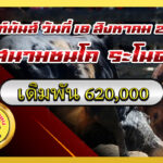 แดงงามสิงห์ชาวสวน (เมล่อน) vs ขาวงามโชคชัย (ลูกเบอร์)                                                                                             สนาม ระโนด 18 ส.ค. 2568
