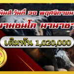 โหนดเพชฌฆาตฟ้าประทานทรัพย์พิชิตชัย (น้องสวย) vs โหนดรุ่งเพชร (ธันวา)                                                                                สนาม นานาชาติ 30 พ.ย. 2568