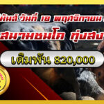 โหนดสุดรักขวัญใจสาวใต้ vs โหนดหลังขาวลูกเพชรนคร                                                              สนาม ทุ่งสง 18 พ.ย. 2568