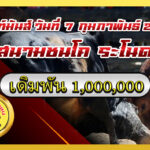 แดงวาเลนไทน์ vs นิลงามพิชิตชัย (ไอ้ดื้อ)                                                                                     สนาม ระโนด 7 ก.พ. 2569