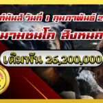 โหนดตะวันทอแสง (ถุงทอง) vs ดุกด้างสิงห์บูรพา (ท่านสิงห์)                                                                                      สนาม สิงหนคร 1 ก.พ. 2569