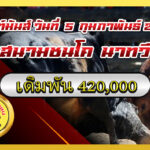 แดงงามเทพบุตร vs ขาวงามสิงห์อิสระ (กวางทอง)                                                                                      สนาม นาทวี 5 ก.พ. 2569