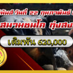 ขาวยอดเด็ดเพชรเกรียงไกร (ขาวน้ำราง) vs โหนดณัฐพล                                                                      สนาม ทุ่งสง 22 ก.พ. 2569