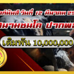 ลังสาดเพชรทองปราย vs โหนดปิ่นสยามเพชรนำชัย                                                                                  สนาม ปากพล 12 มี.ค. 2569