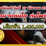 แดงมาดอกรักโพธิ์จักพรรดิเจ้าปฐพี (ดอกรัก) vs ดุกด้างงัวทอง (พยัคฆ์โคโค)                                                                         สนาม ทุ่งโพธิ์ 17 มี.ค. 2569