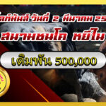 โหนดสิงห์ไพรลูกมีสมบัติ vs นิลงามมังกรดำมั่งมีทรัพย์ (ไขว้น้อย-ทายาทหมีไวข้)                                                        สนาม หยีใน 2 มี.ค. 2569