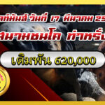 แดงงามมหาดไทย (ไฉไล) vs ขาวแสงทองคะนองศึก (แสงทอง)                                                                                                                                           สนาม ท่าหรั่ง 17 มี.ค. 2569