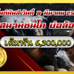 โหนดเหลี่ยมเพชรยอดนำชัย (ท้องลาย) vs ดุกด้างแซมซุปเปอร์สตาร์ (ท่านแซม)                                                                                      สนาม บ่อล้อ 8 มี.ค. 2569