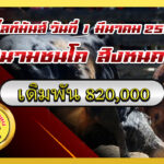 แดงงามเพชรกองปราบ vs โหนดท้องลายชาญชัย (หนูนุ้ย)                                                            สนาม สิงหนคร 1 มี.ค. 2569