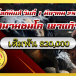 แดงงามเจ้าเล่ห์ (ลูกแดง) vs ดุกด้างงามมังกรดำ (ไอ้ดื้อ)                                                        สนาม เขาแก้ว 1 มี.ค. 2569