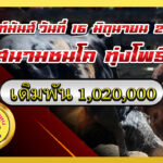 โหนดเพชรฆาตเพลงสังหาร (ไอ้สังหาร) vs โหนดเพชรบุญชู (ดาวทอง)                                                                               สนาม ทุ่งโพธิ์ 16 มิ.ย. 2569
