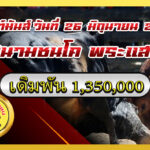 ดุกด้างพยัคฆ์ร้ายเพชรบุญมี (หมูบิน) vs นิลท้องลายใจเด็ดเพชรอคิณสิงห์ล่าทรัพย์                                                                            สนาม พระแสง 26 มิ.ย. 2569