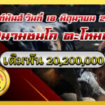 แดงเพชรนำชัย vs ลังสาดราชครู (ครูไกด์)                                                                               สนาม ตะโหมด 18 มิ.ย. 2569