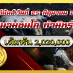 ขาวพยัคฆ์อัศวิน (อ้ายจุด) vs นิลแซมลูกพยัคฆ์ทองเหลือง (นาโต้)                                                                                  สนาม ท่ามิหรำ 25 มิ.ย. 2569