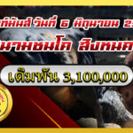 ขาวก้าวนำหรัพย์ชนะศึก (เก้าเมืองสิงห์) vs ดุกด้างเทพนรสิงห์ (สิงโต)                                                                             สนาม สิงหนคร 6 มิ.ย. 2569