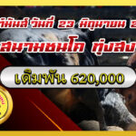 ขาวงามเพชรเศรษฐียอดมีชัย (อ้ายโควิด) vs โหนดกรรโชกทรัพย์ (มัดจำ)                                                                            สนาม ทุ่งสง 23 มิ.ย. 2569