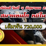 แดงงามแสงระวี (ขวัญใจเหล่าหาญ) vs ดุกด้างเพชรสยาม (อ้ายนำทัพ)                                                                             สนาม หยีใน 4 มิ.ย. 2569