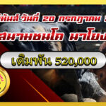 โหนดสิงหราชเดโช (ลูกเพชร) vs โหนดแซมสิงห์ธารา (บ่าวโหล้)                                                                        สนาม นาโยง 20 ก.ค. 2569